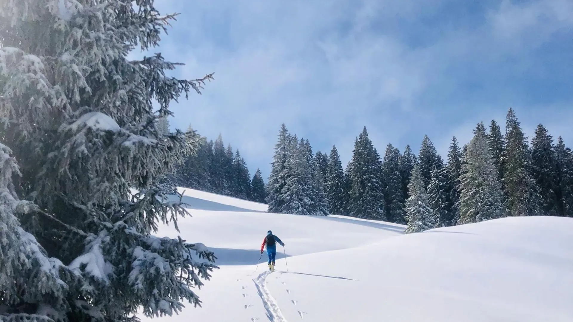 Stadlerhof Фрасдорф 0*,